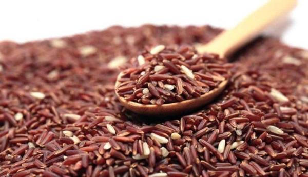Gạo lứt đỏ - Gạo Thành Nam - Công Ty Cổ Phần Nông Sản Thực Phẩm Thành Nam
